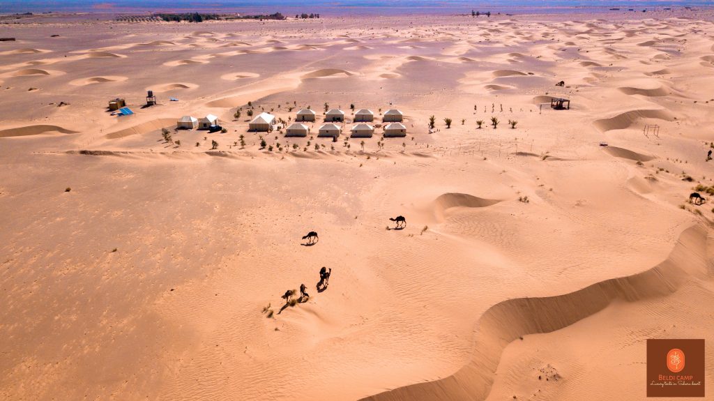 Tour from Marrakech to desert 4 days