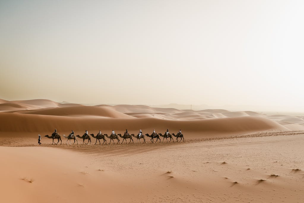 15 days Morocco tour from Casablanca