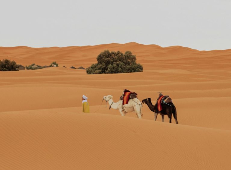 4 days Ouarzazate desert tour