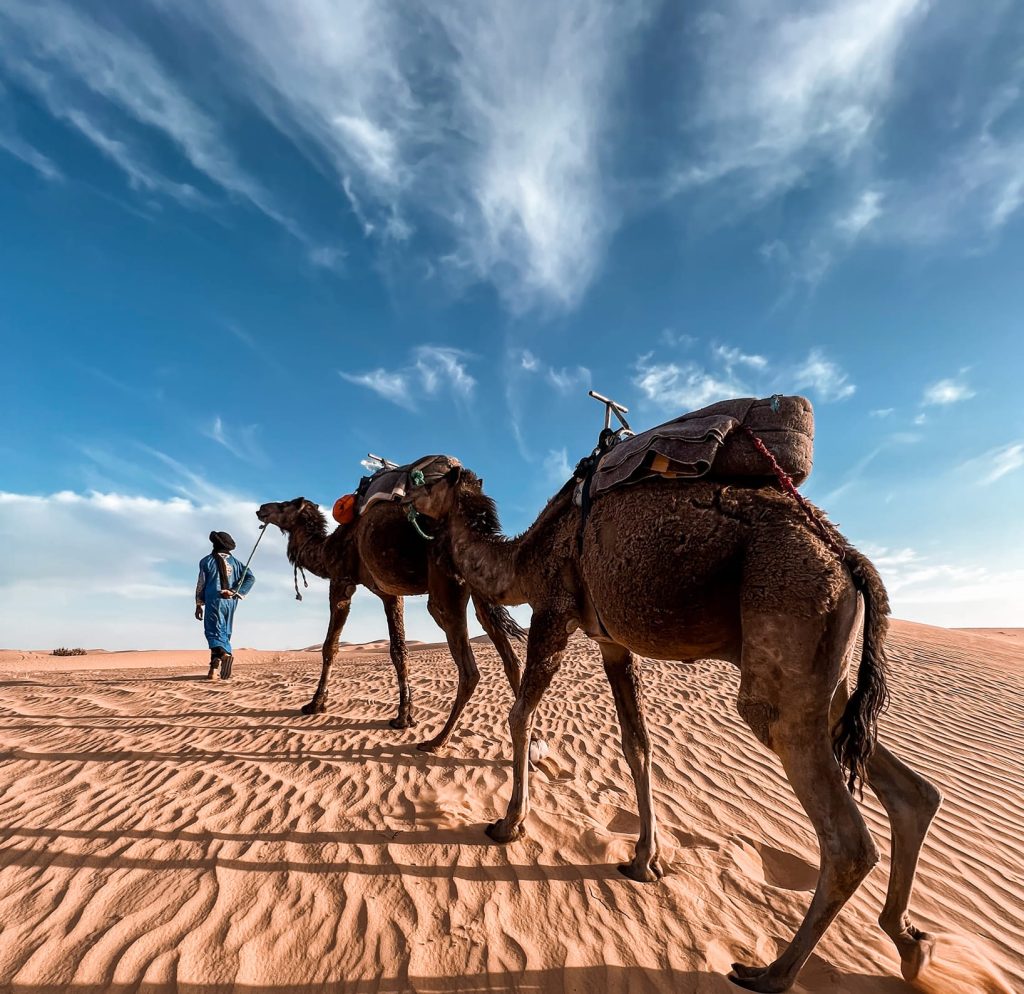 7 days from Marrakech to Merzouga Desert