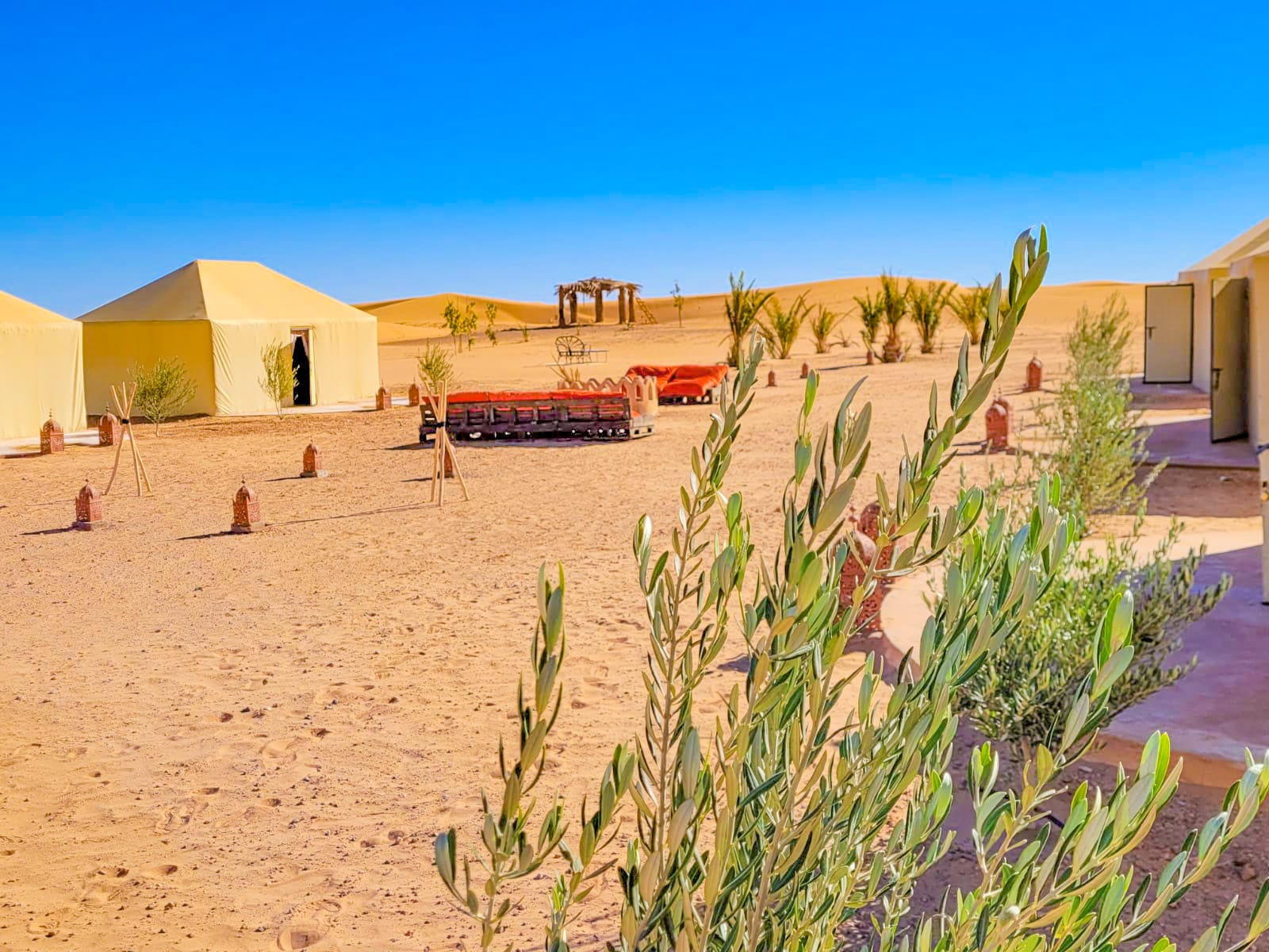 Tour From Marrakech To Fes Via Desert - 3 Days