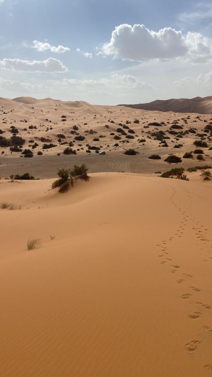 Private Desert Tour From Errachidia - 3 Days